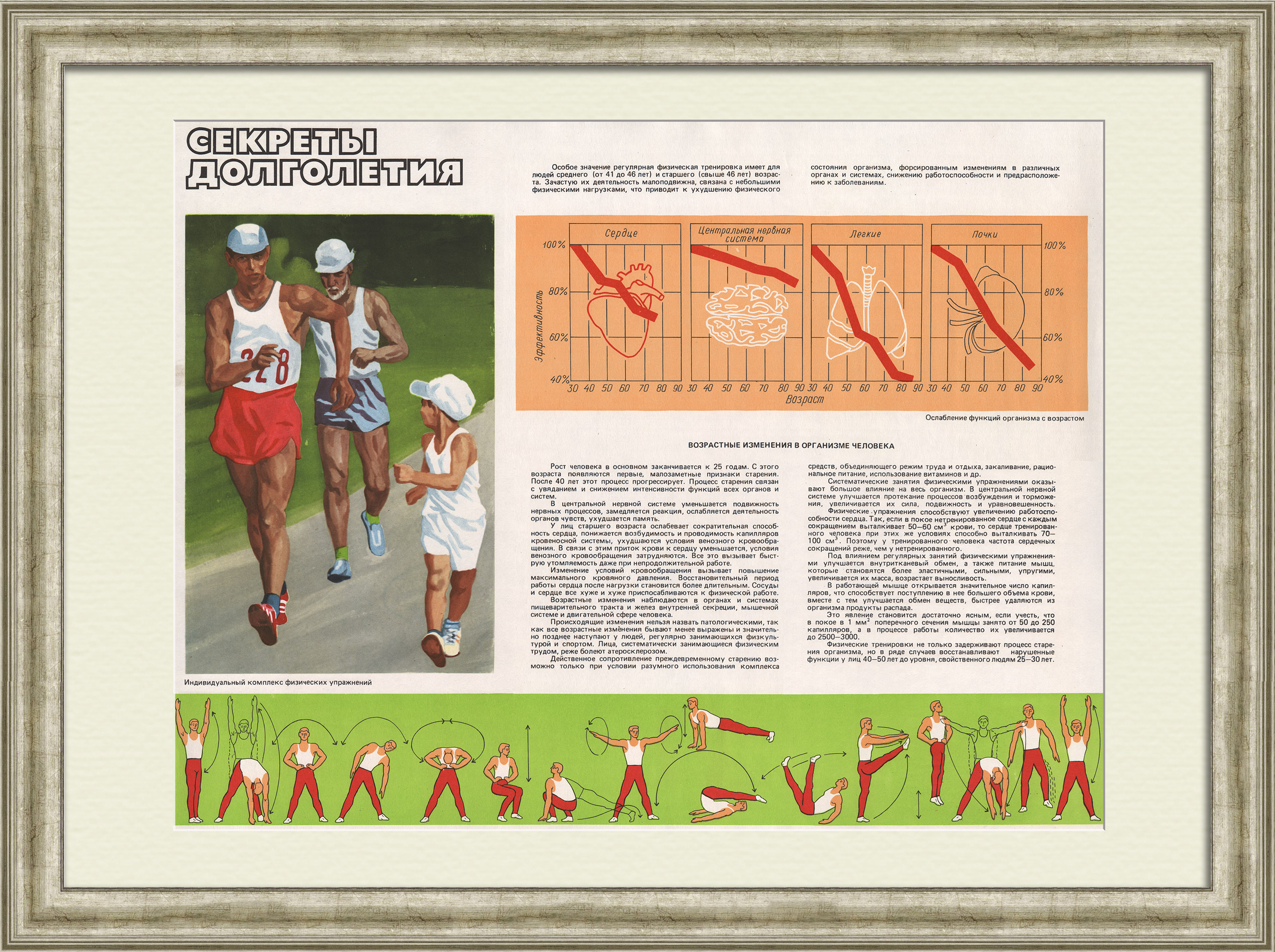 Секреты долголетия. Физкультура и спорт в СССР, винтажный плакат Секреты долголетия. Физкультура и спорт в СССР, винтажный плакат