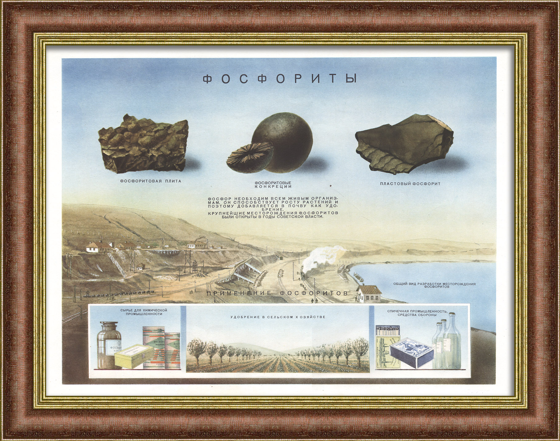 Добыча и применение фосфоритов. Редкий, советский плакат Добыча и применение фосфоритов. Редкий, советский плакат