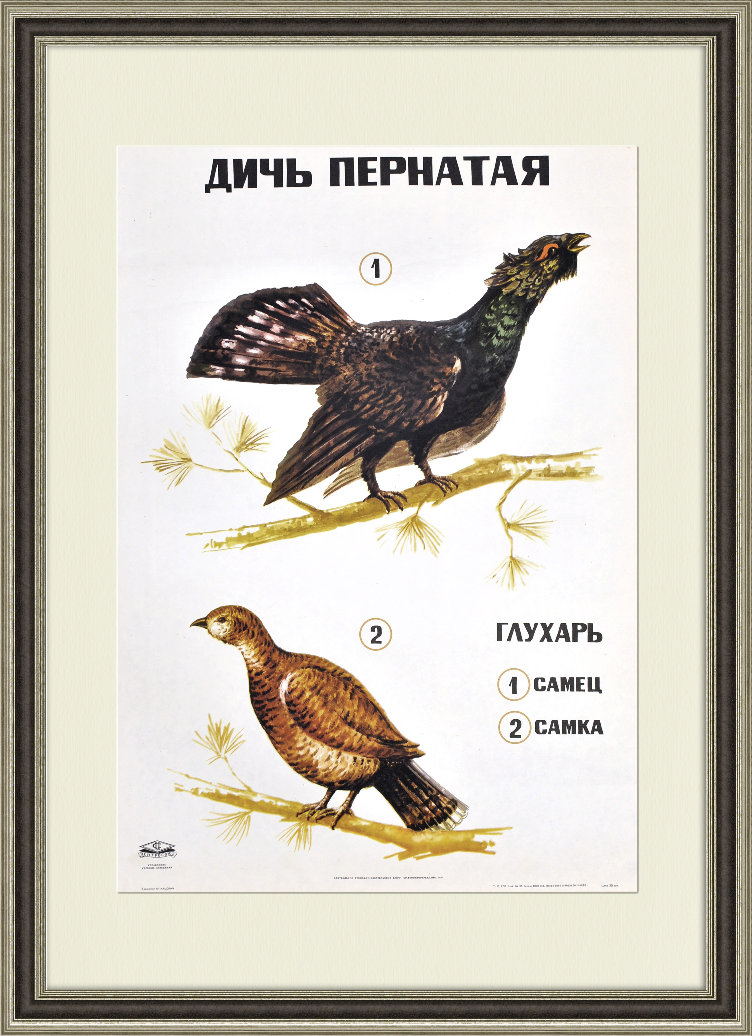 Дичь пернатая, большой советский плакат Дичь пернатая, большой советский плакат
