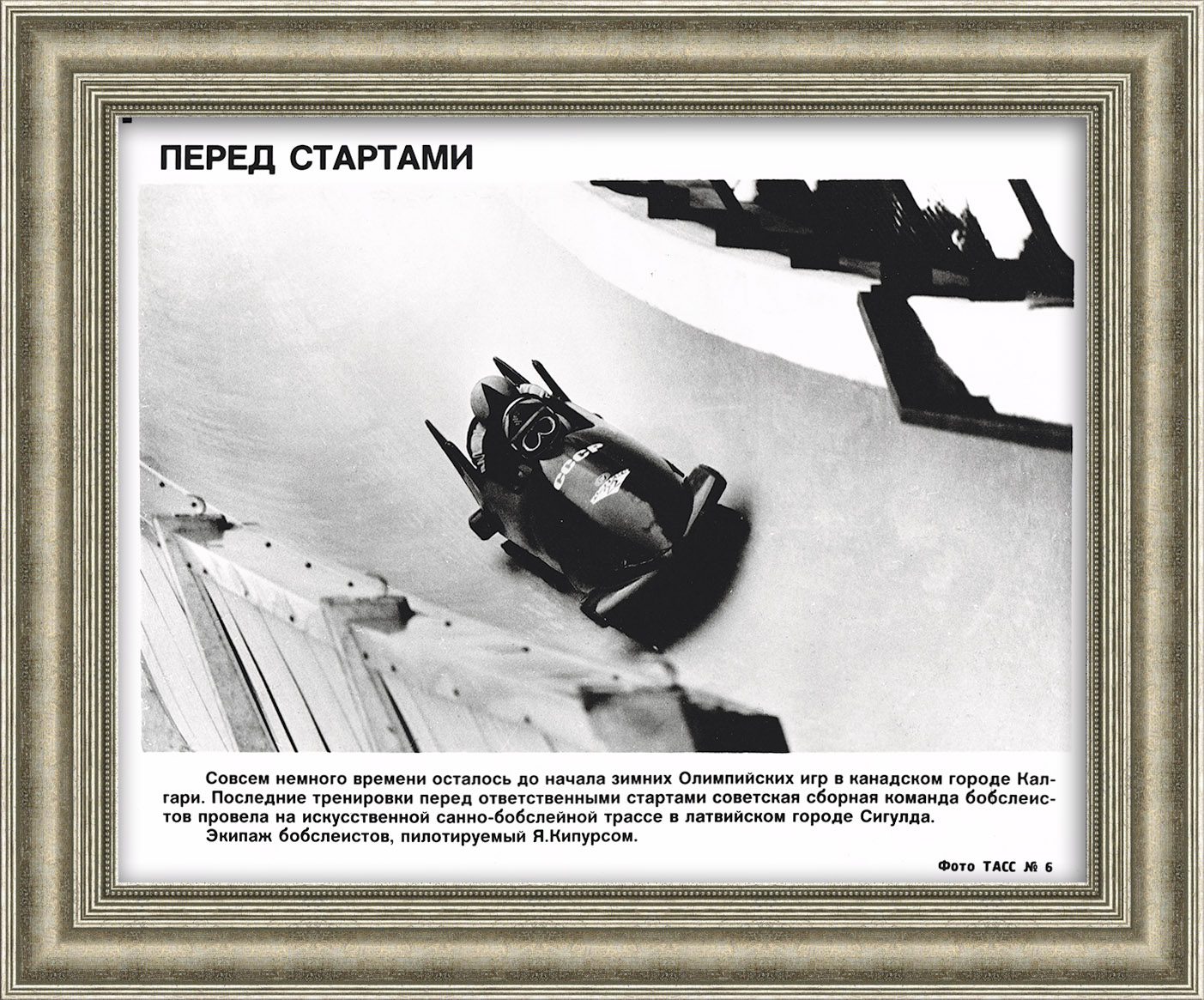 Бобслей на Олимпийских играх. Фото ТАСС Бобслей на Олимпийских играх. Фото ТАСС