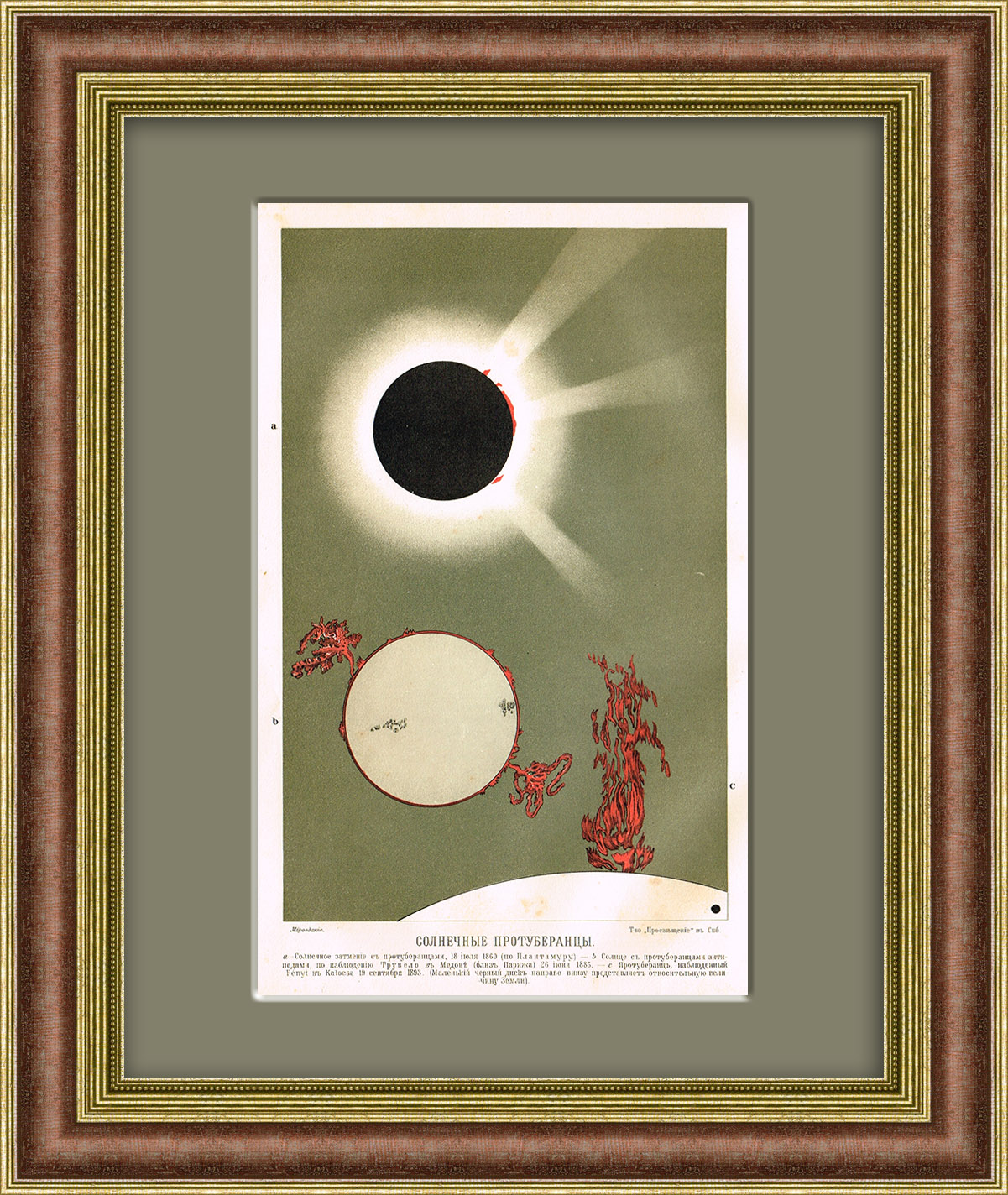 Солнечные протуберанцы, старинная хромолитография 1909 г. Солнечные протуберанцы, старинная хромолитография 1909 г.