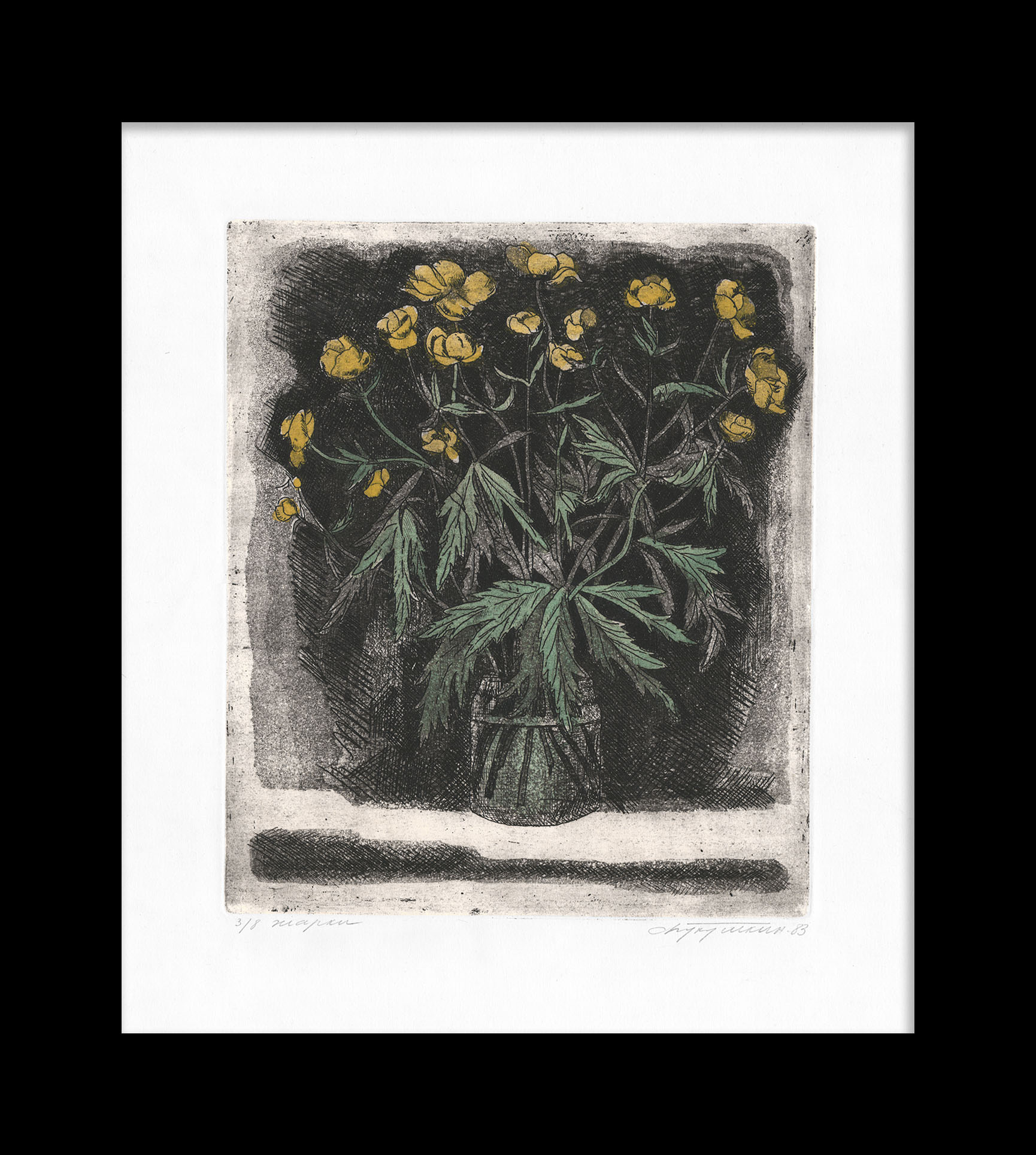 Жарки – «огоньки» Сибири. Редкий, авторский офорт Жарки – «огоньки» Сибири. Редкий, авторский офорт