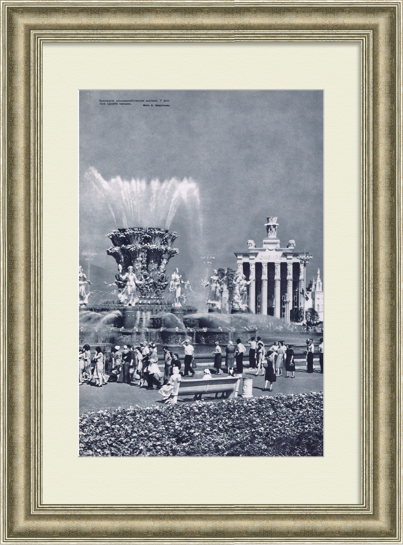 ВДНХ, фонтан "Дружба народов" ВДНХ, фонтан "Дружба народов"