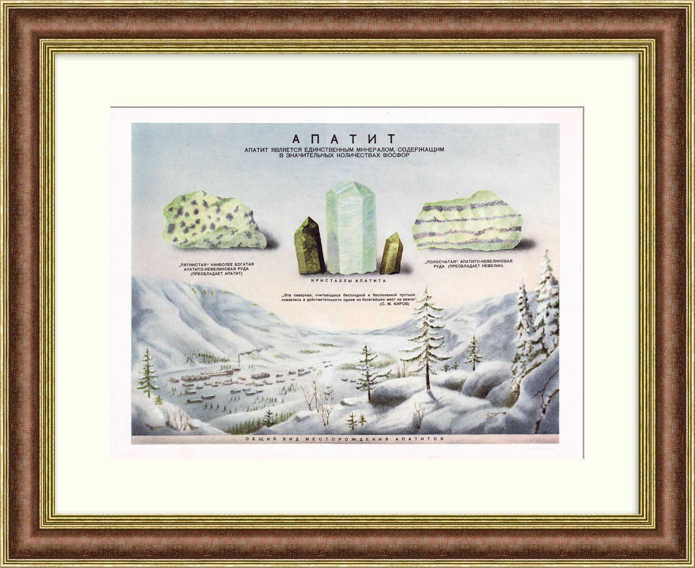 Апатит и его разновидности. Редкий, советский плакат Апатит и его разновидности. Редкий, советский плакат