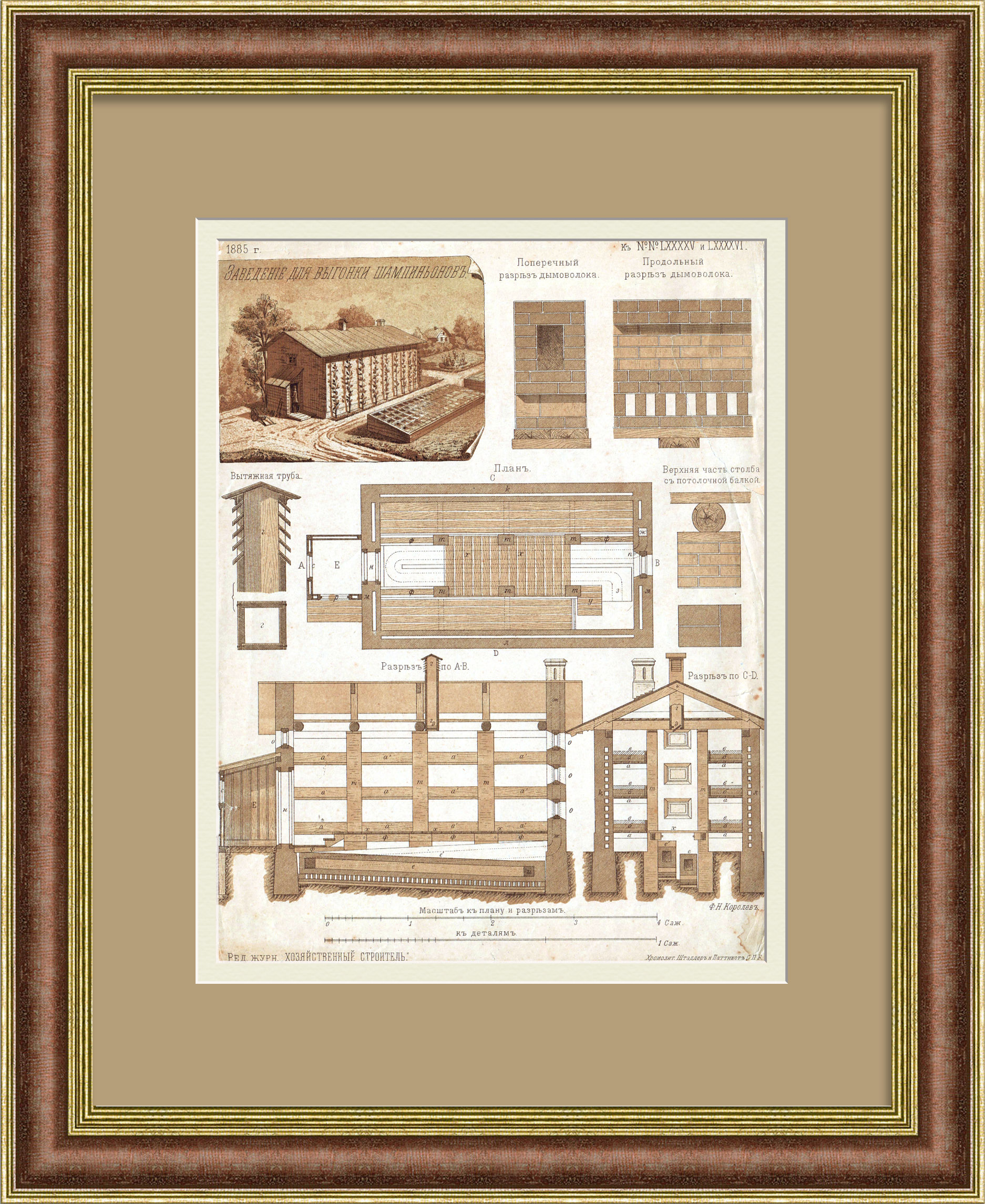 Теплица для разведения шампиньонов, план строительства. Редкая хромолитография Теплица для разведения шампиньонов, план строительства. Редкая хромолитография