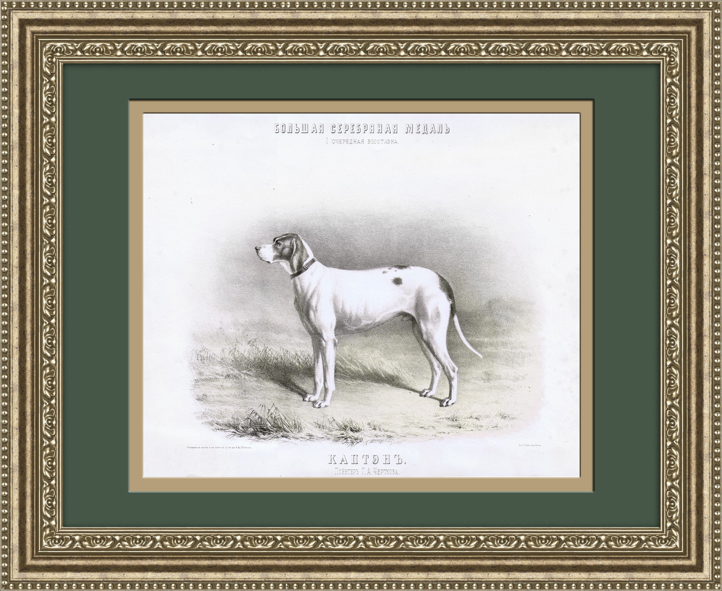 Собаки-призеры выставок Императорского общества правильной охоты, старинная литография с акварели Н.А. Мартынова Собаки-призеры выставок Императорского общества правильной охоты, старинная литография с акварели Н.А. Мартынова