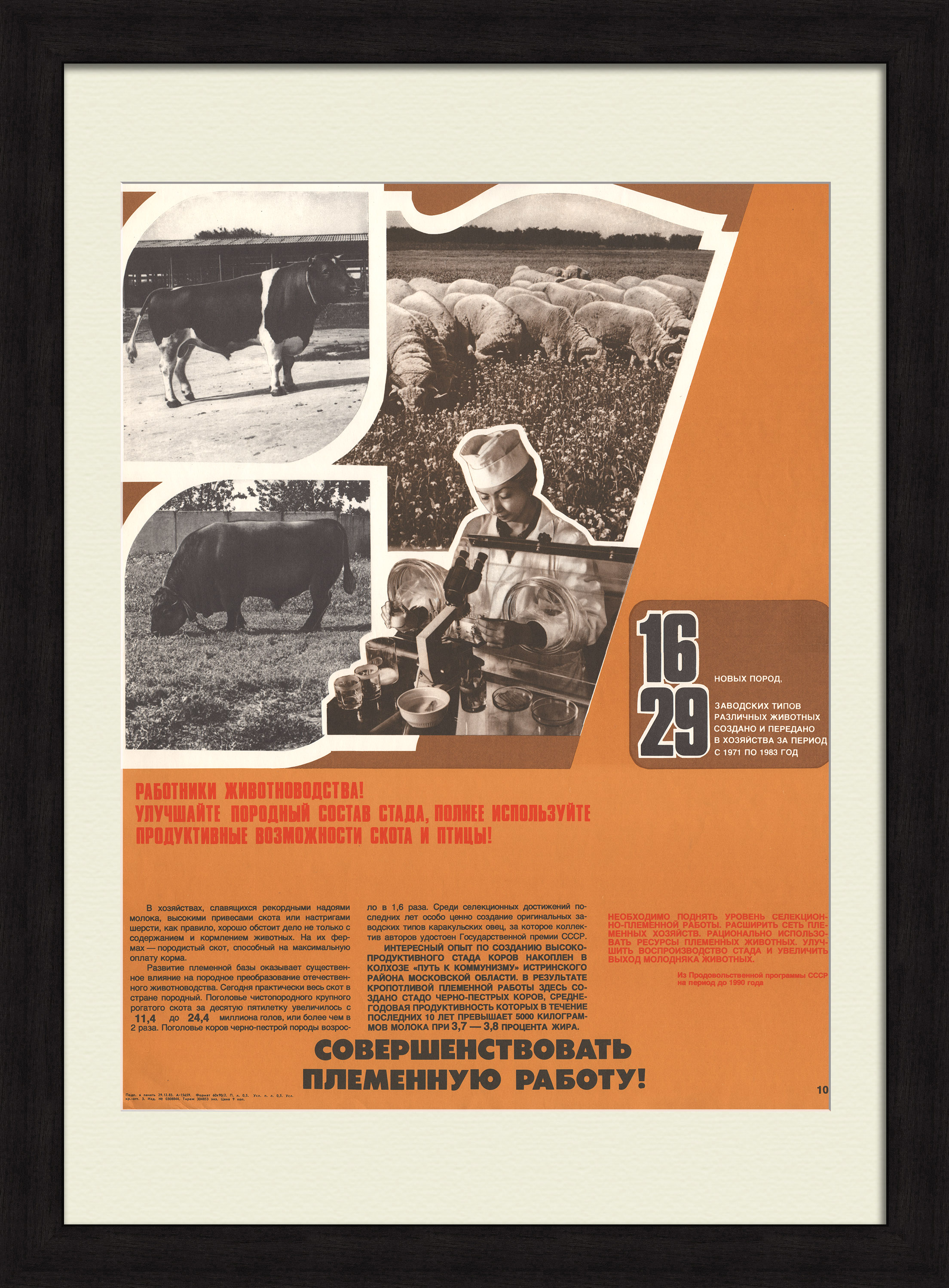 Работники животноводства, совершенствуйте племенную работу! Советский агитационный плакат Работники животноводства, совершенствуйте племенную работу! Советский агитационный плакат
