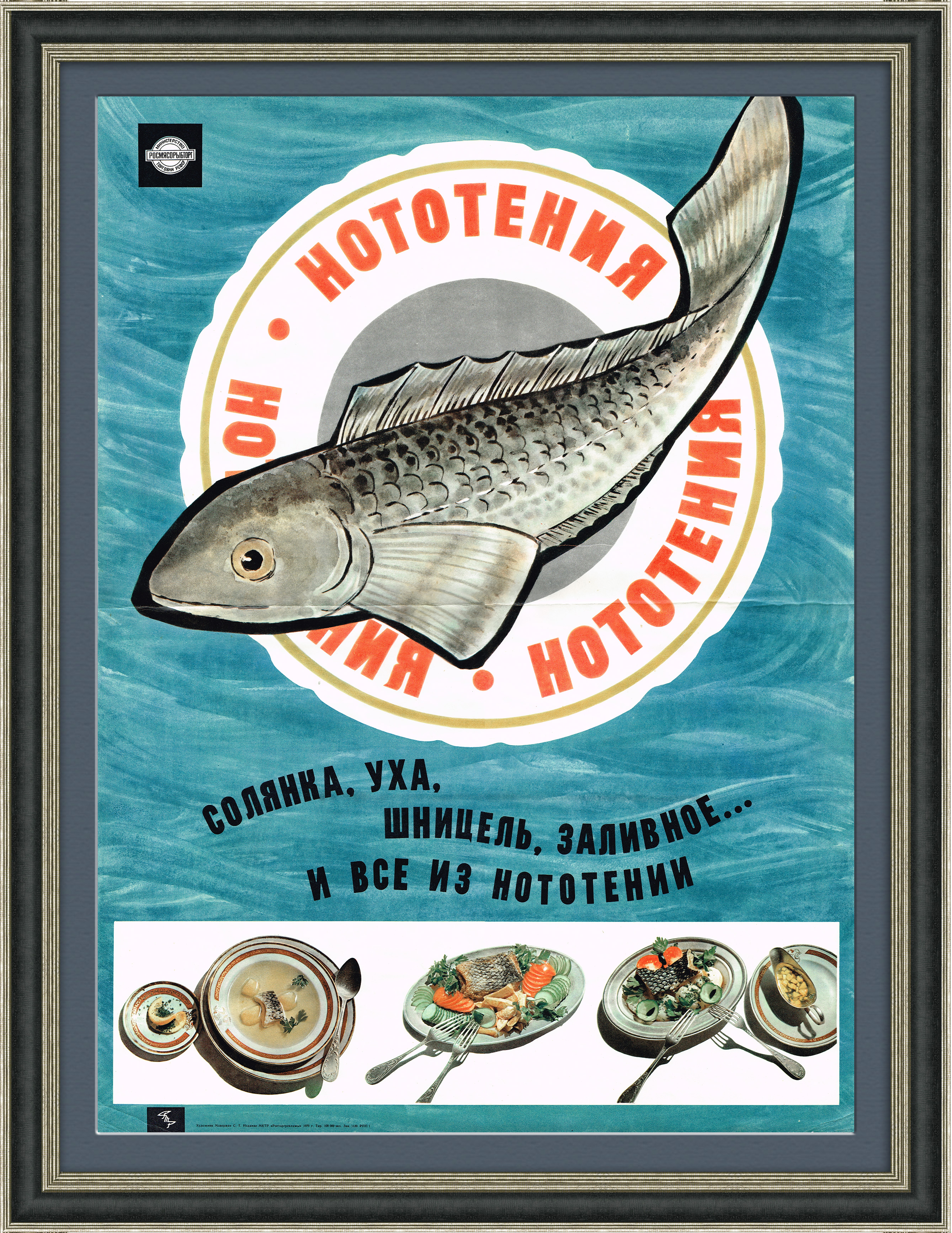 Нототения. Рекламный плакат СССР Нототения. Рекламный плакат СССР