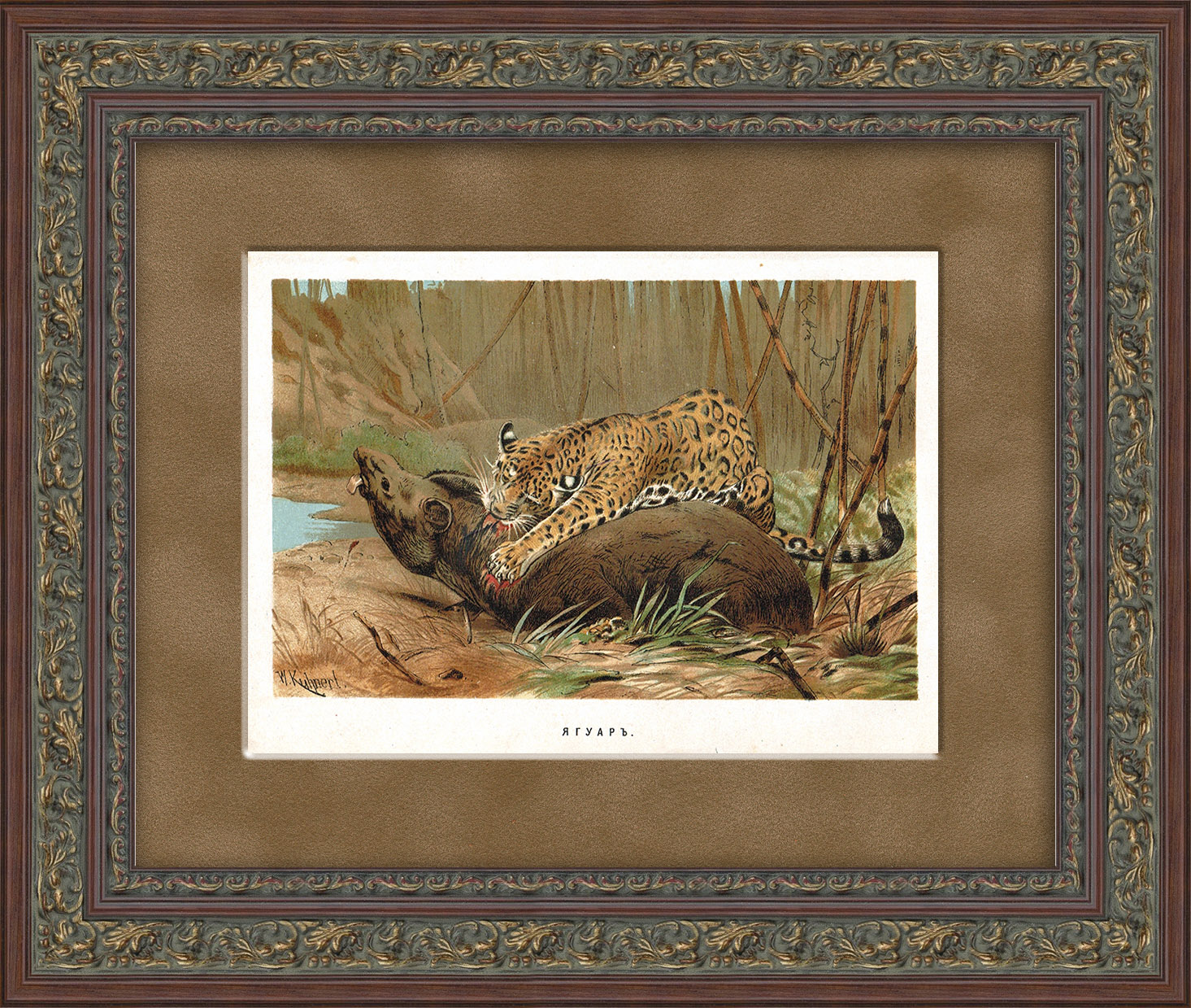 Ягуар. Хромолитография в раме, 1894 год Ягуар. Хромолитография в раме, 1894 год