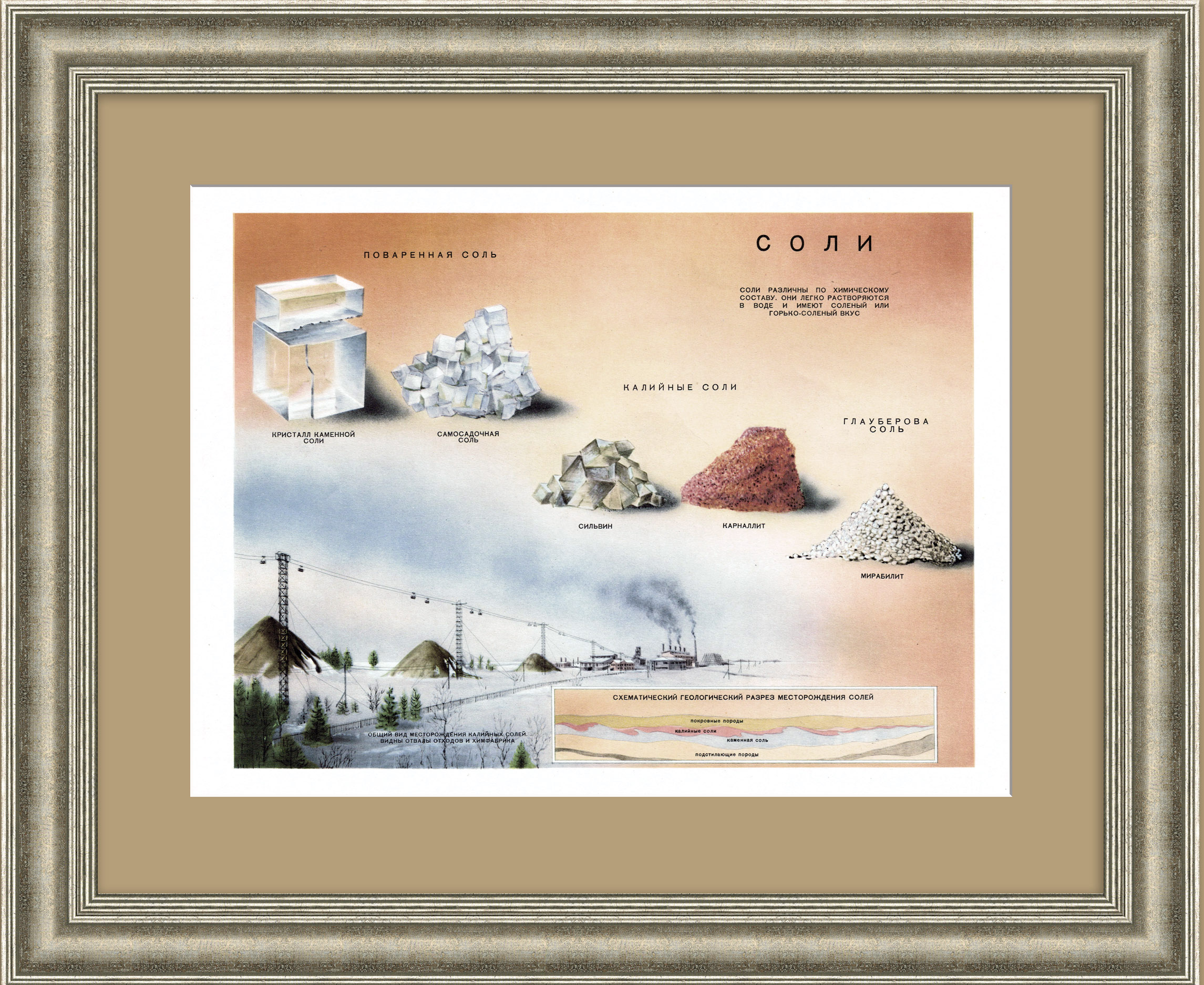 Виды соли: поваренная,калийная,глауберова. Редкий, советский плакат Виды соли: поваренная,калийная,глауберова. Редкий, советский плакат