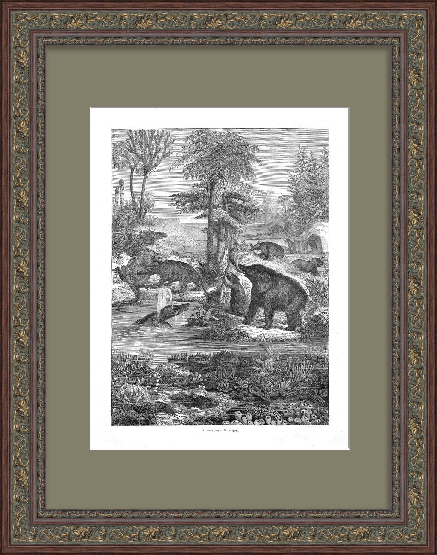 Фауна палеозойской эры. Редкая, старинная гравюра Фауна палеозойской эры. Редкая, старинная гравюра