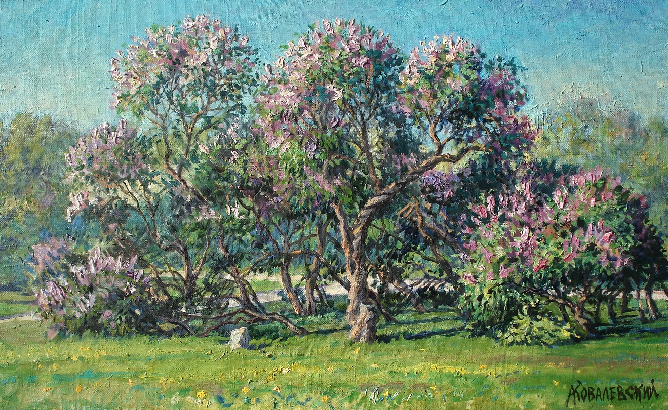 Сирень цветет. Авторская живопись Сирень цветет. Авторская живопись