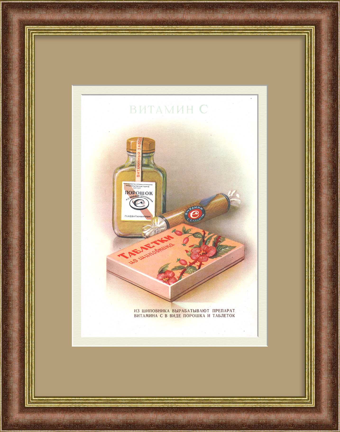 Витамин С. Таблетки из шиповника. Редкая, советская реклама Витамин С. Таблетки из шиповника. Редкая, советская реклама