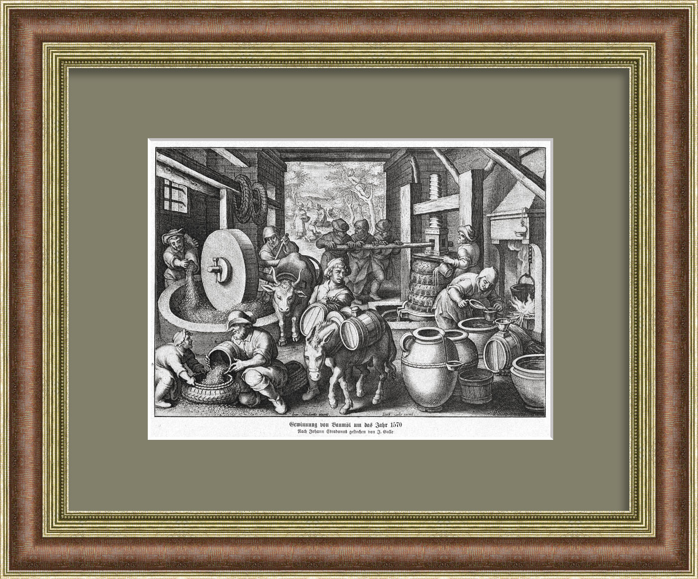 Производство оливкого масла в 1570 году. Старинная графика Производство оливкого масла в 1570 году. Старинная графика