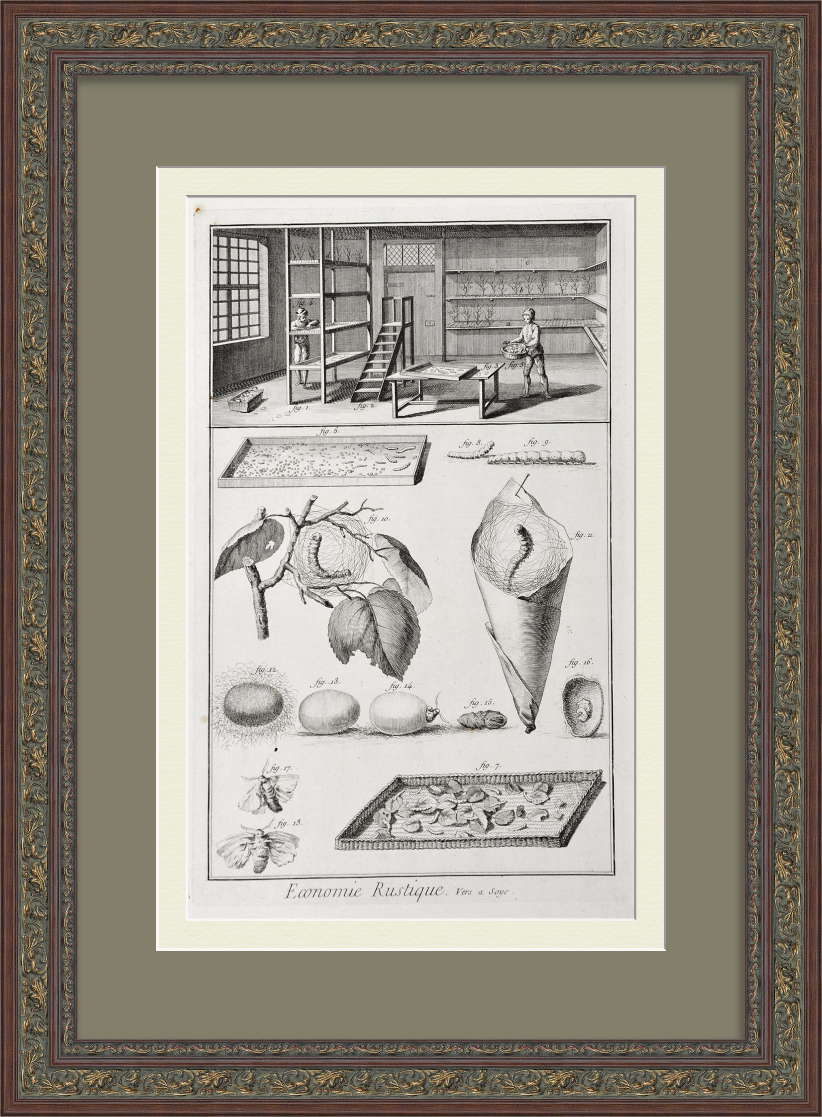 Производство шелка. Уникальная гравюра 18 века Производство шелка. Уникальная гравюра 18 века