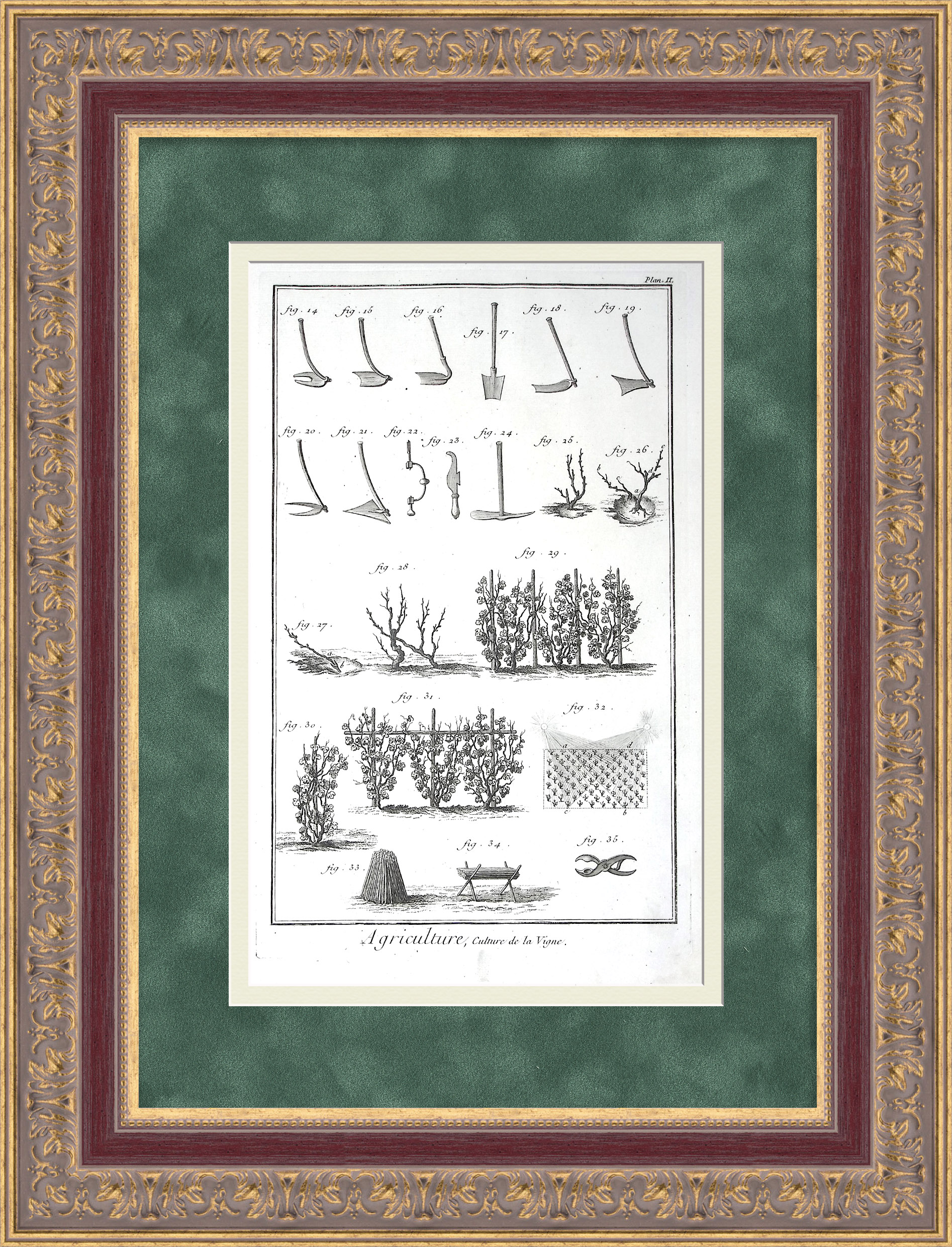 Виноградарство в 18 веке. Уникальная, старинная гравюра Виноградарство в 18 веке. Уникальная, старинная гравюра