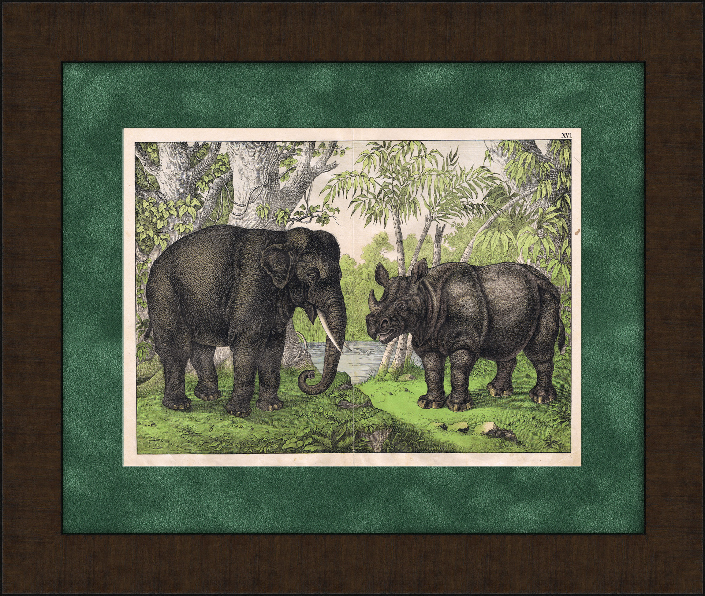 Слон и носорог, антикварная хромолитография Слон и носорог, антикварная хромолитография