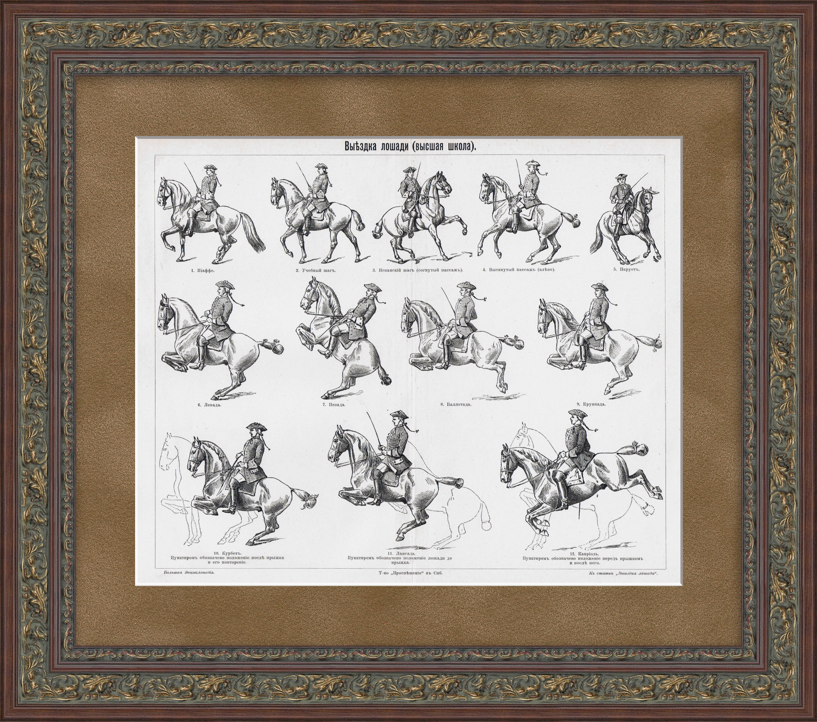 Верховая езда, обучение лошадей. Старинная гравюра Верховая езда, обучение лошадей. Старинная гравюра