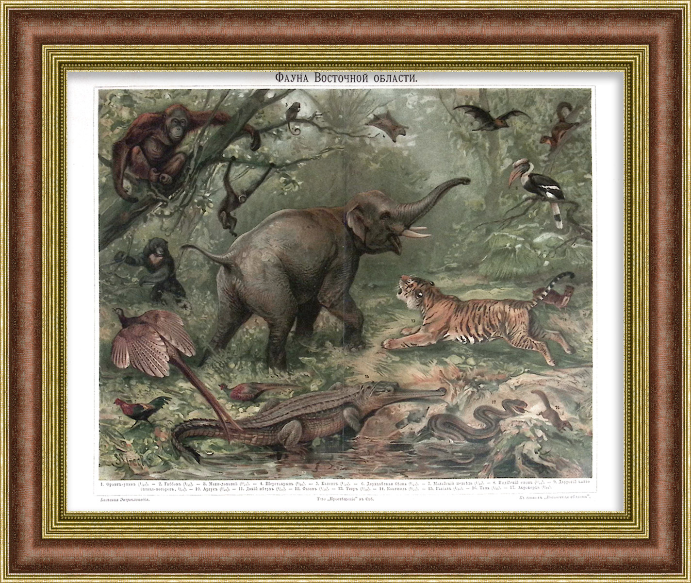 Фауна Восточной области: слон, тигр, гавиал. Старинная хромолитография Фауна Восточной области: слон, тигр, гавиал. Старинная хромолитография