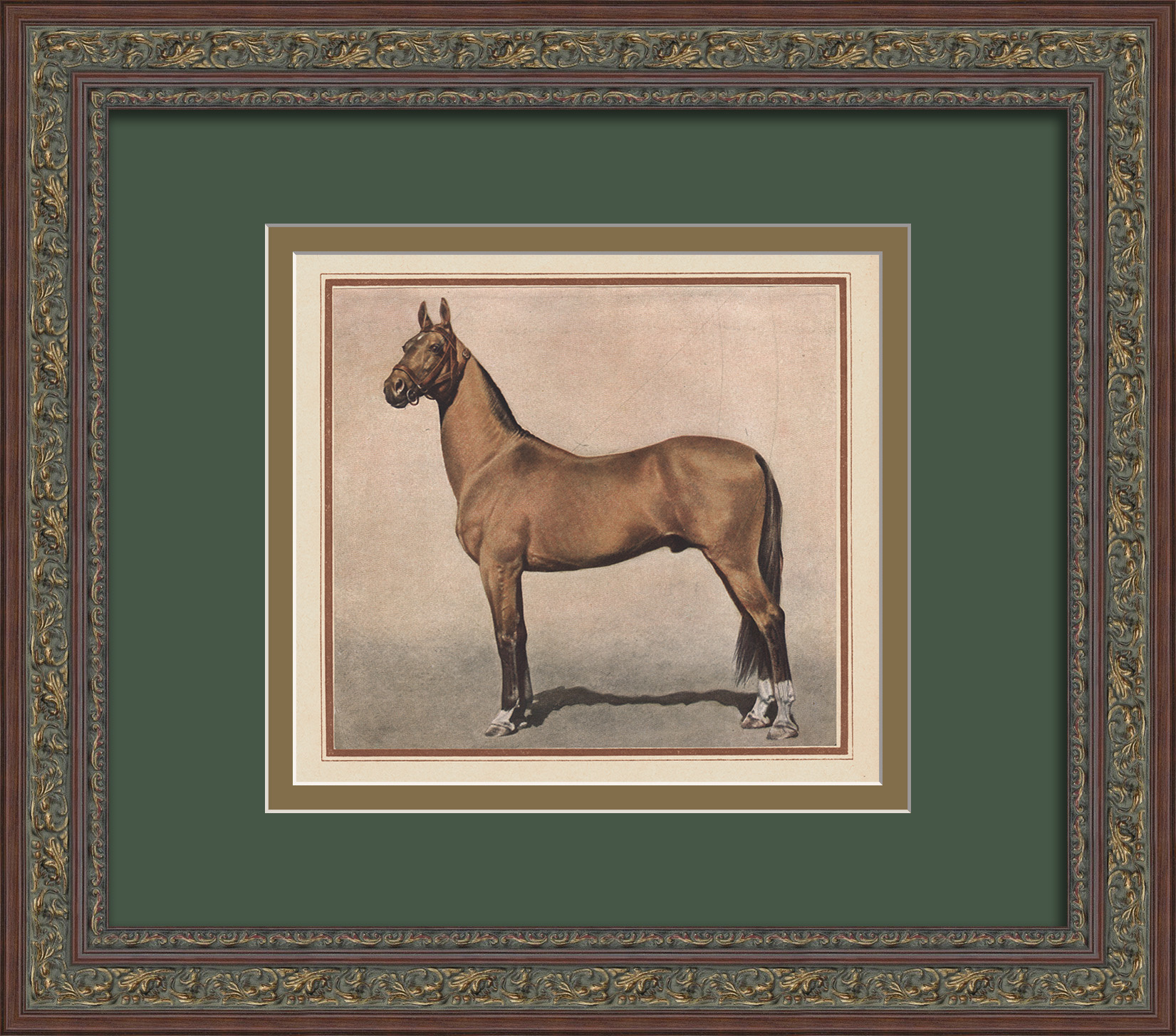 Ахалтекинский жеребец - чемпион Всесоюзной сельскохозяйственной выставки 1939 года. Старинная тиражная графика Ахалтекинский жеребец - чемпион Всесоюзной сельскохозяйственной выставки 1939 года. Старинная тиражная графика