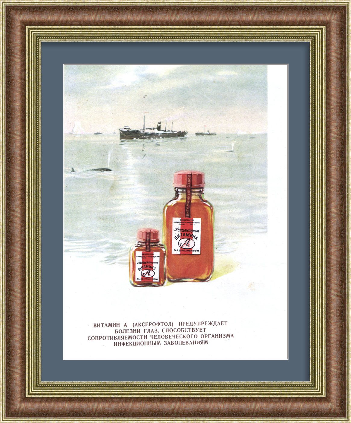 Витамины для зрения и иммунитета, советская реклама Витамины для зрения и иммунитета, советская реклама