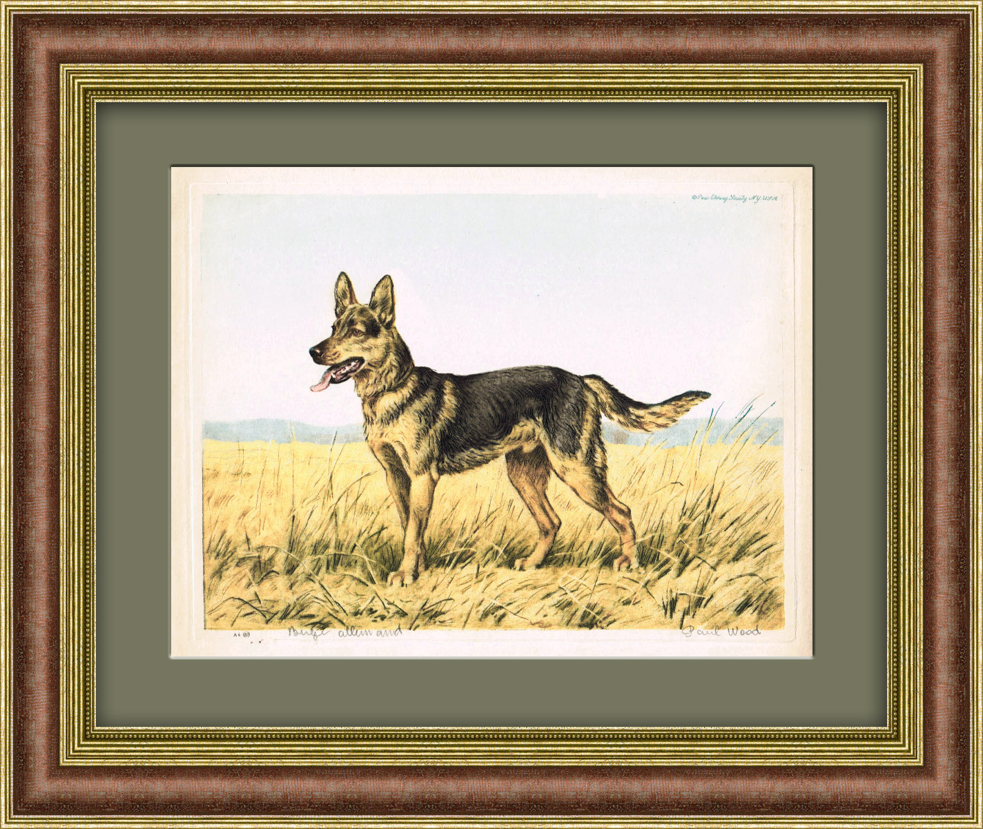 Овчарка на прогулке. Оригинальный авторский офорт, 1935 г. Овчарка на прогулке. Оригинальный авторский офорт, 1935 г.