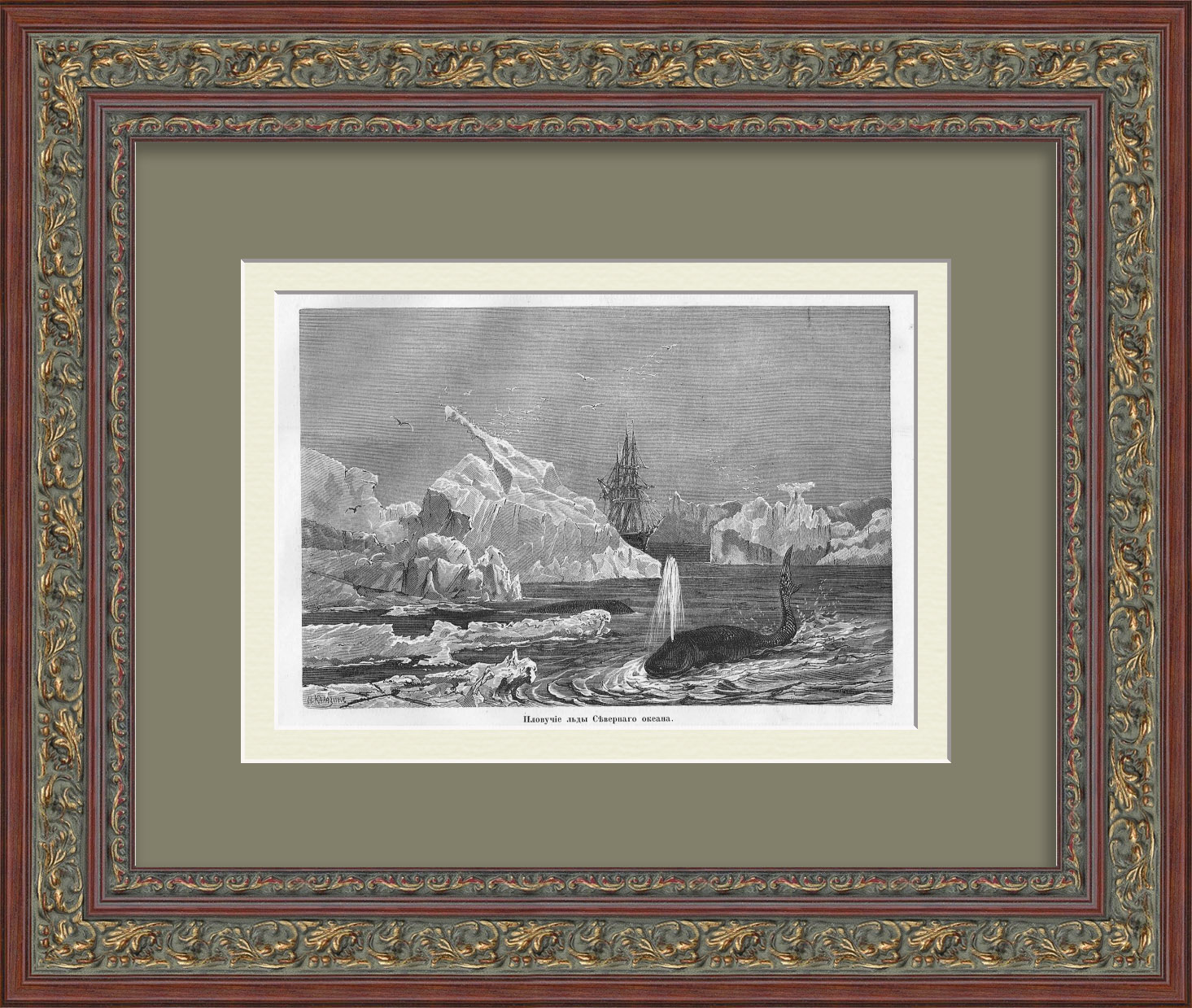 Северный Ледовитый океан и его обитатели. Редкая, старинная гравюра Северный Ледовитый океан и его обитатели. Редкая, старинная гравюра