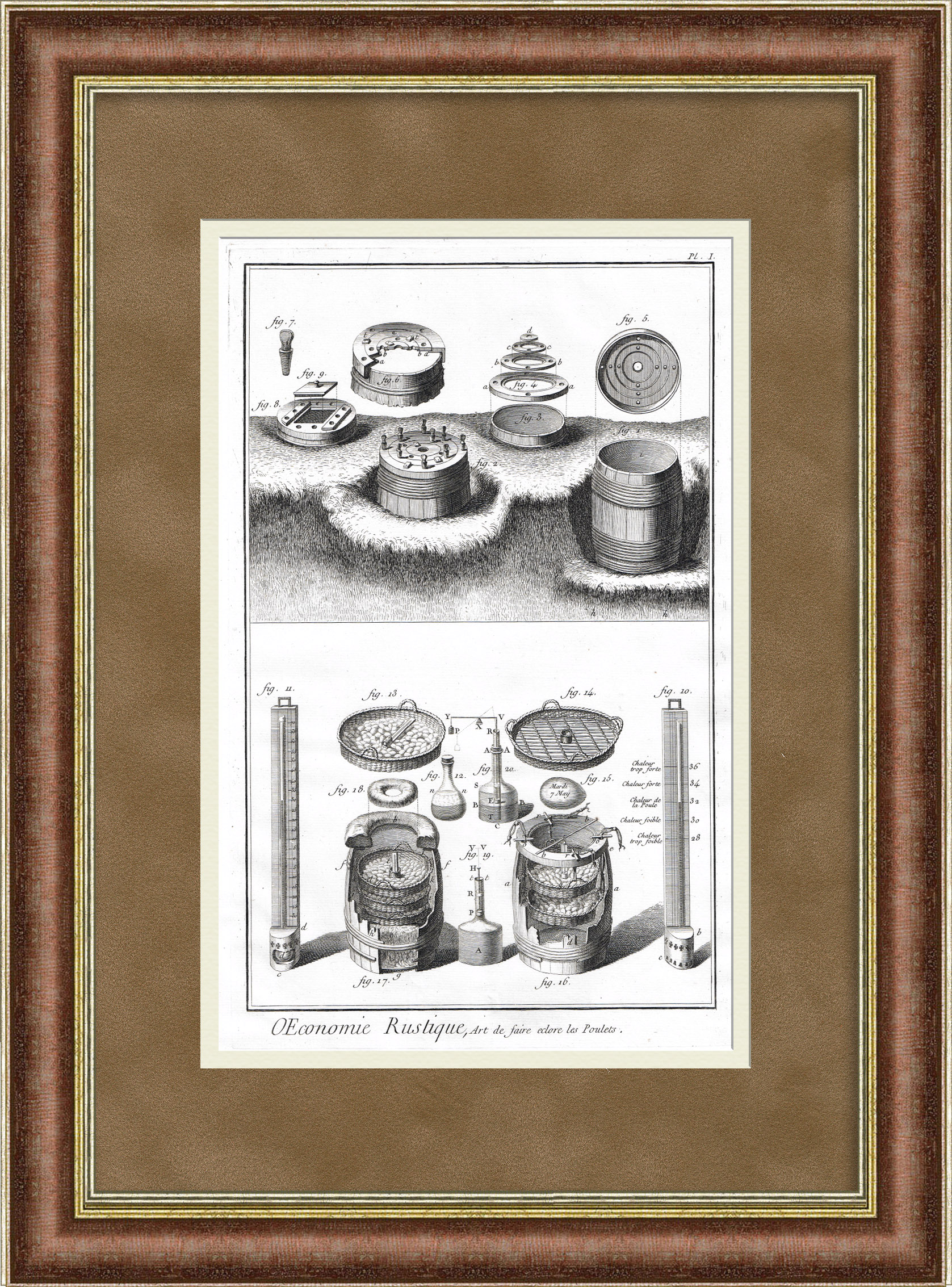 Инкубатор 18 века - искусство высиживания цыплят Инкубатор 18 века - искусство высиживания цыплят