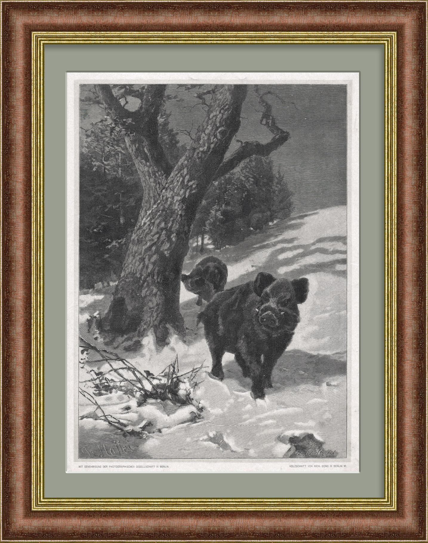 Кабаны в зимнем лесу. Антикварная ксилография в раме Кабаны в зимнем лесу. Антикварная ксилография в раме