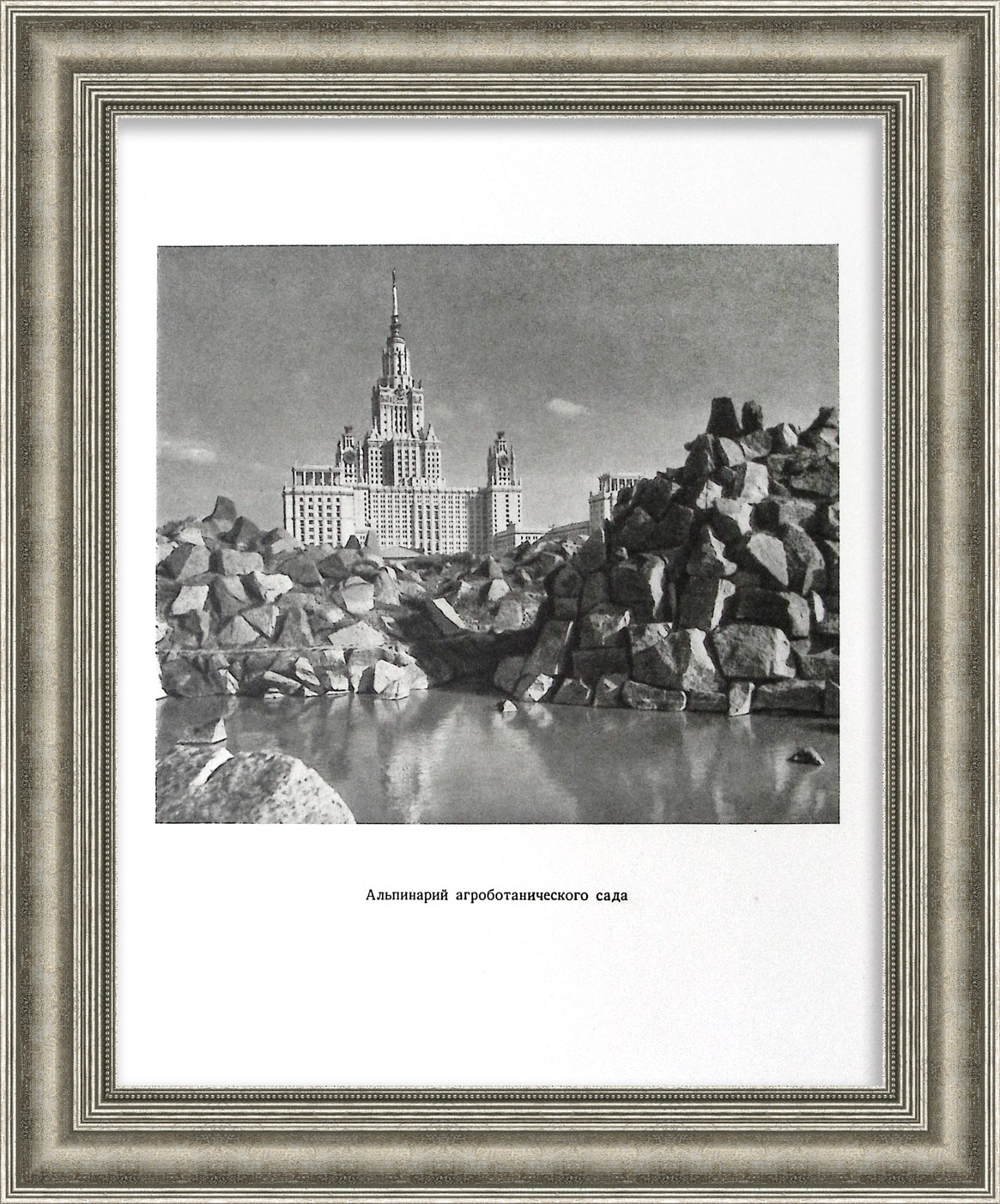 Альпинарий Ботанического сада МГУ им. М.В. Ломоносова. Редкая графика Альпинарий Ботанического сада МГУ им. М.В. Ломоносова. Редкая графика