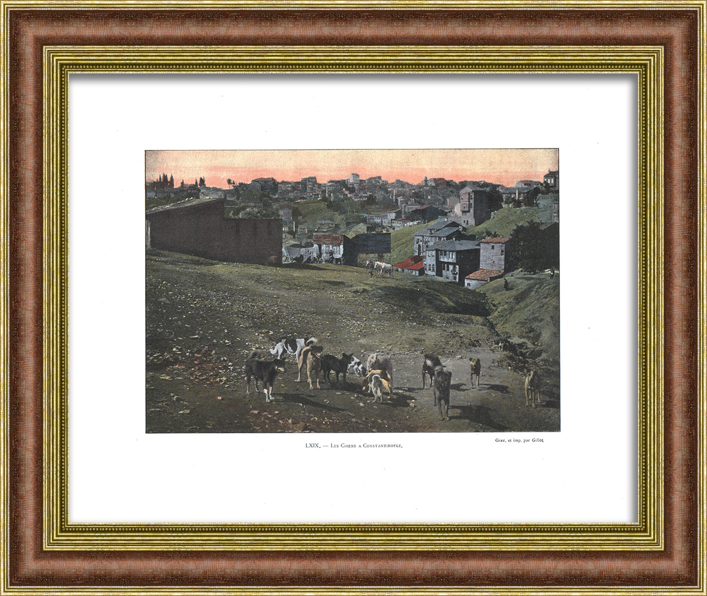 Константинополь начала 20 века. Редкая старинная фототипия Константинополь начала 20 века. Редкая старинная фототипия