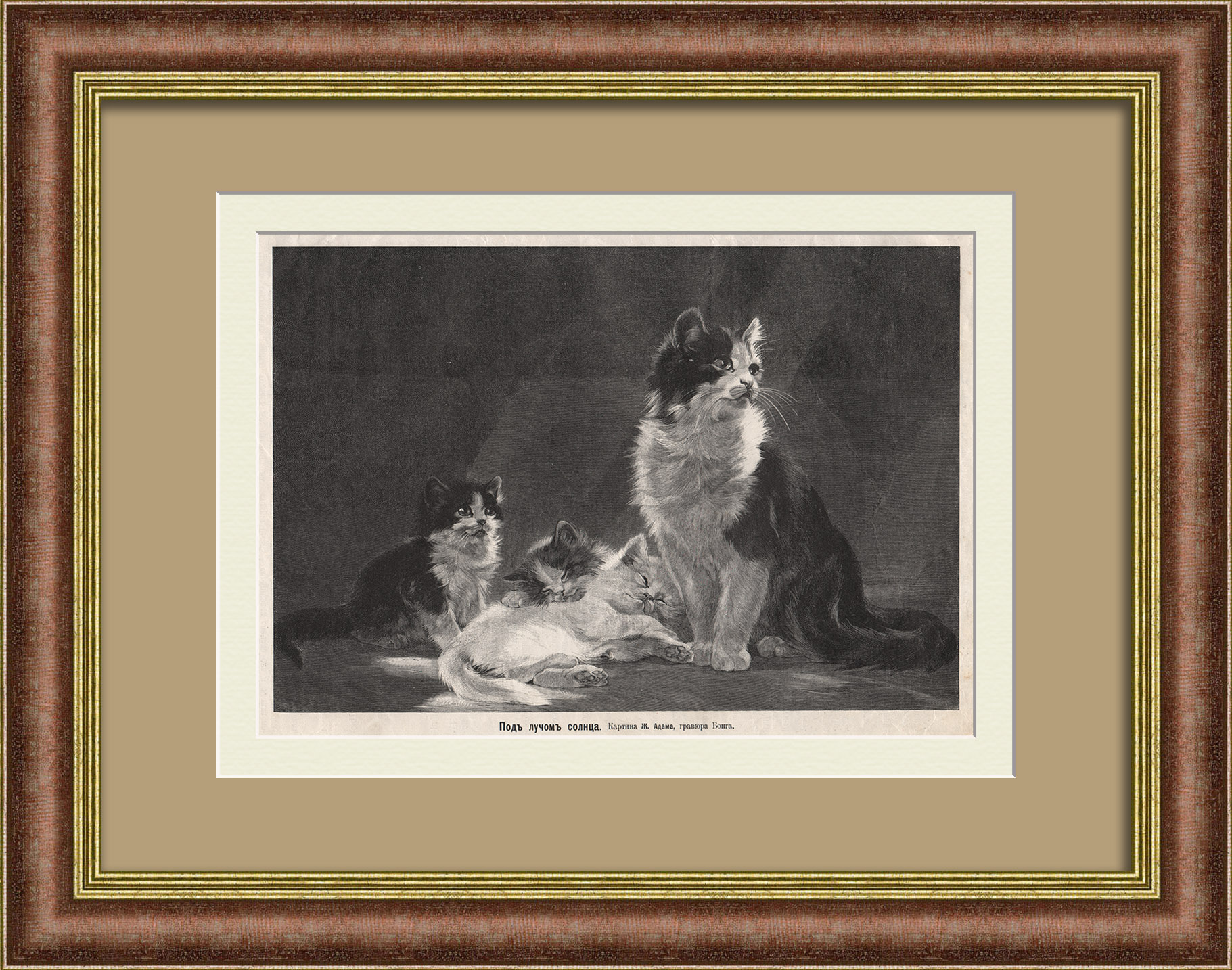 Кошка с котятами. Старинная дореволюционная гравюра Кошка с котятами. Старинная дореволюционная гравюра