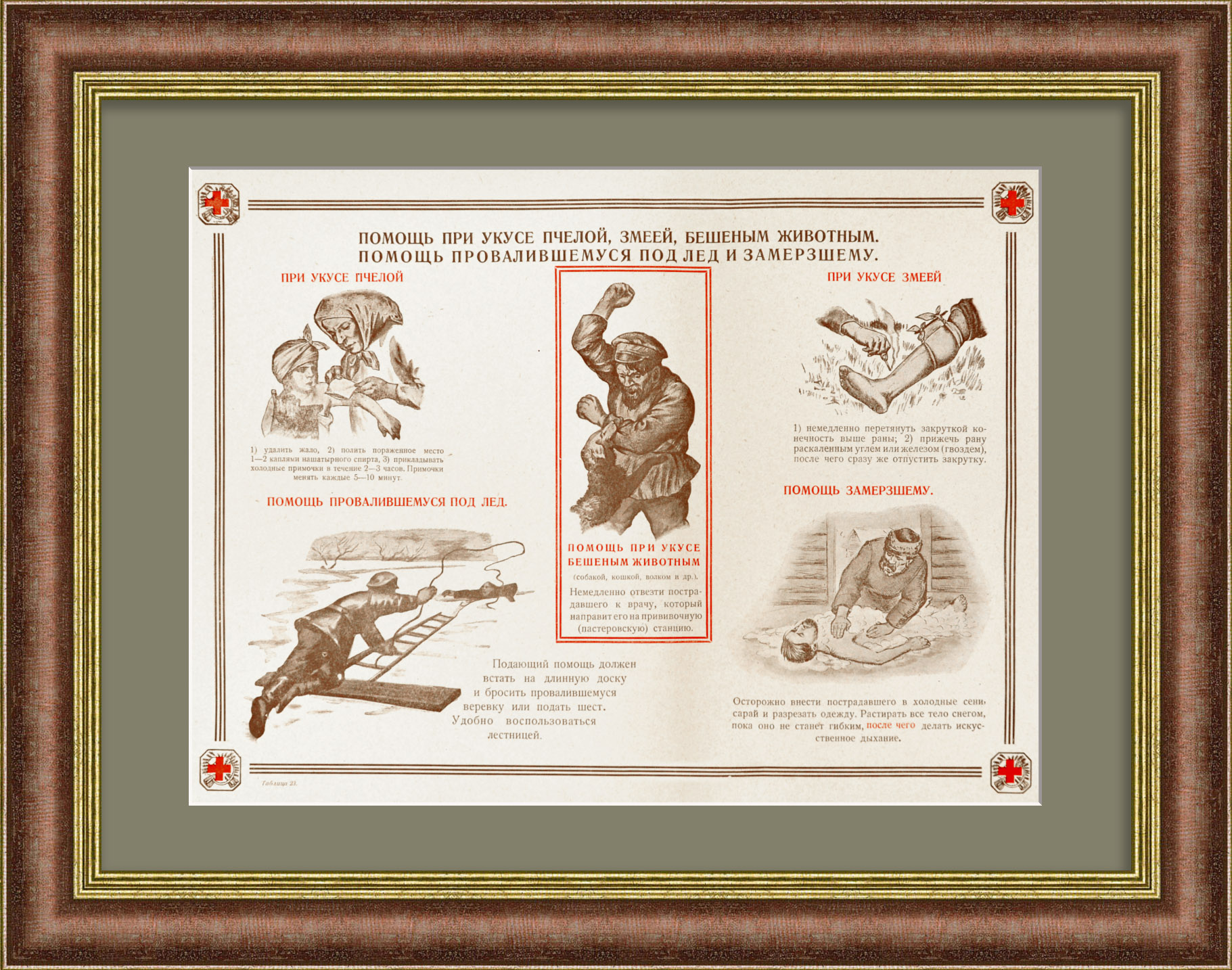 Оказание первой помощи при ядовитых укусах и обморожении. Общество Красного Креста РСФСР, редкая графика Оказание первой помощи при ядовитых укусах и обморожении. Общество Красного Креста РСФСР, редкая графика
