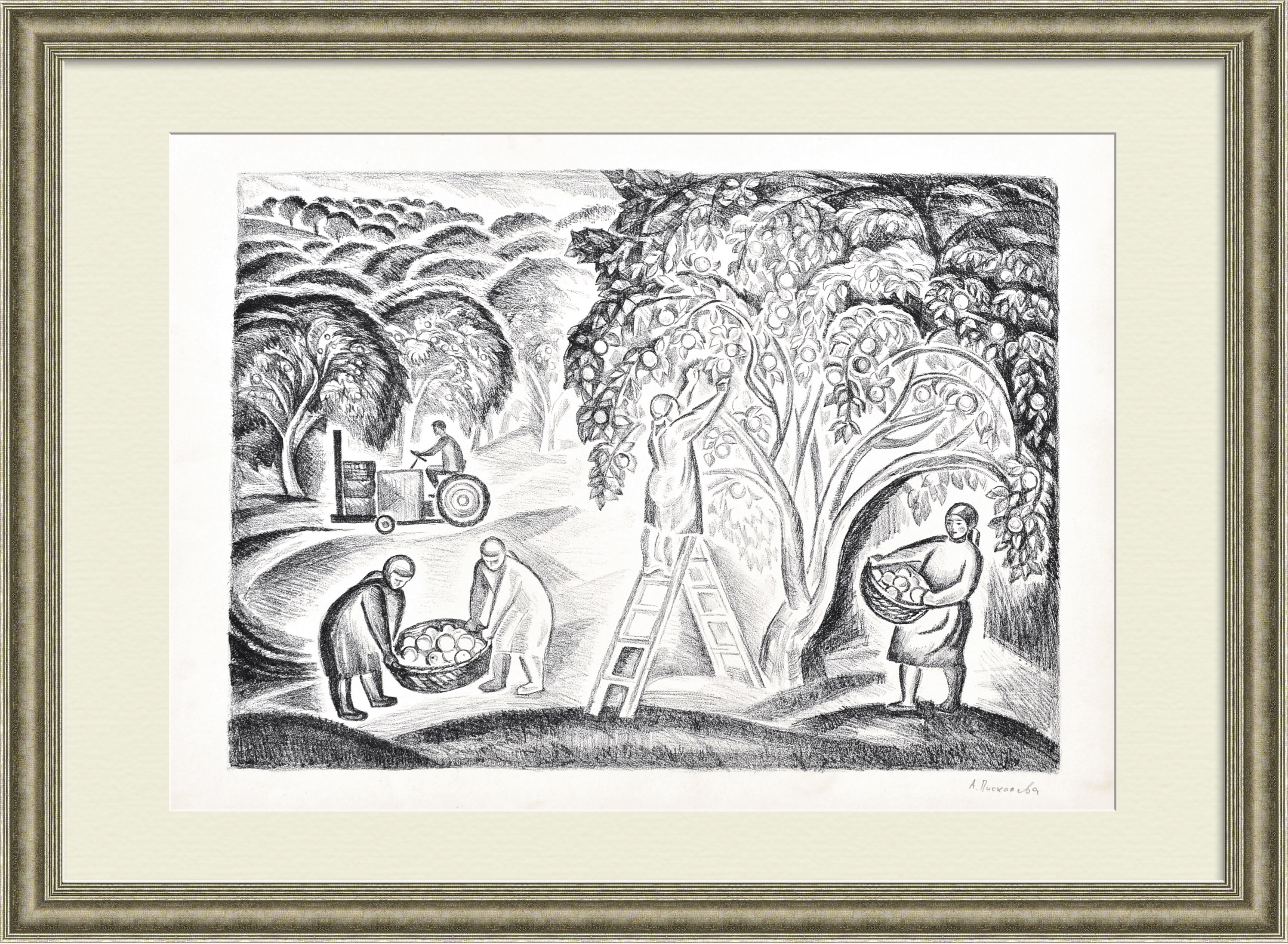 Сбор яблок в подмосковном совхозе. Авторская литография Сбор яблок в подмосковном совхозе. Авторская литография