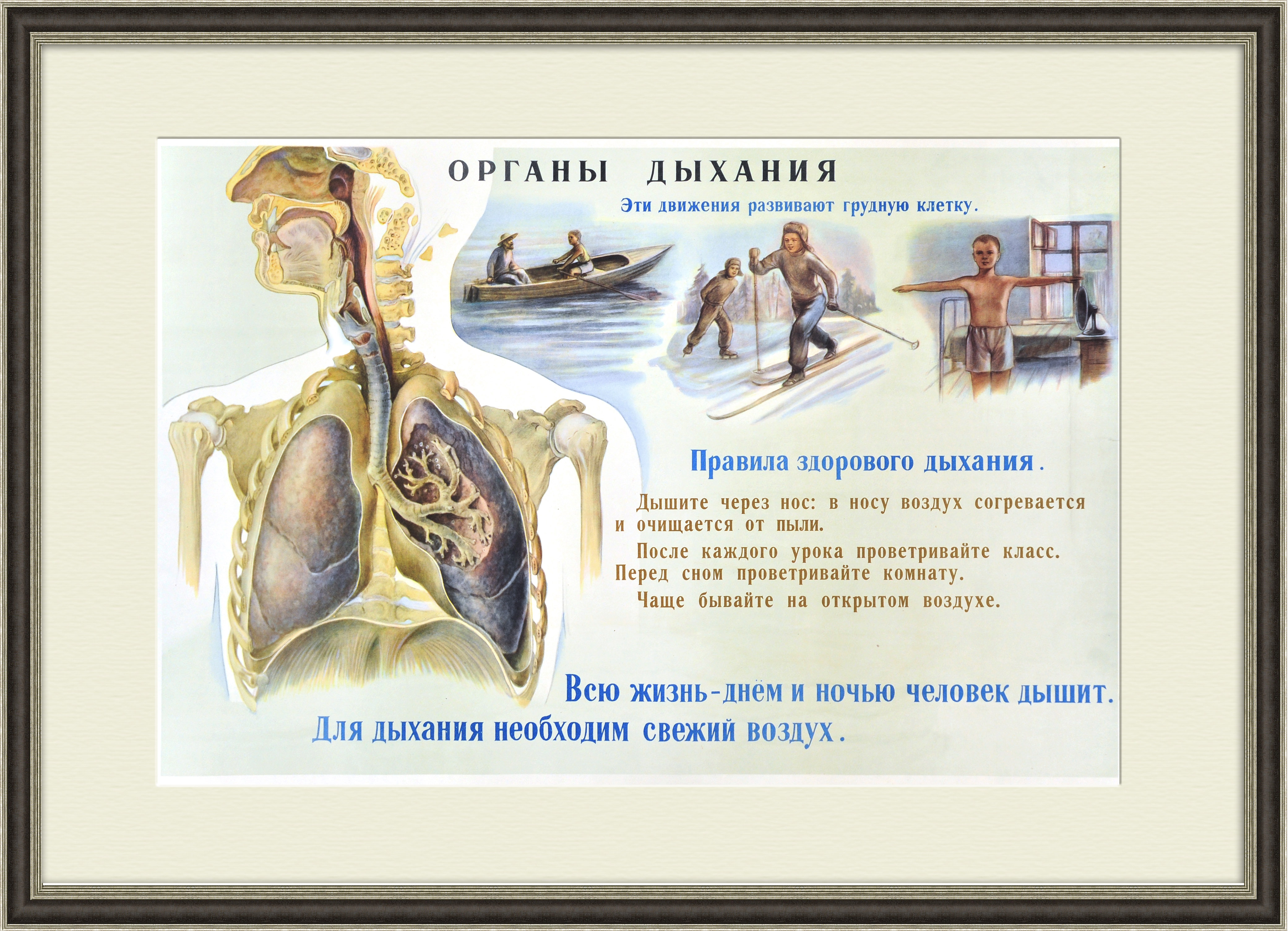 Спортсмен, дыши правильно! Большой плакат СССР Спортсмен, дыши правильно! Большой плакат СССР